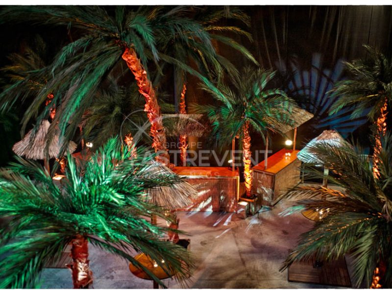 Decor a theme exotique cuba Guadeloupe Caraibes par Nova Groupe Astrevent
